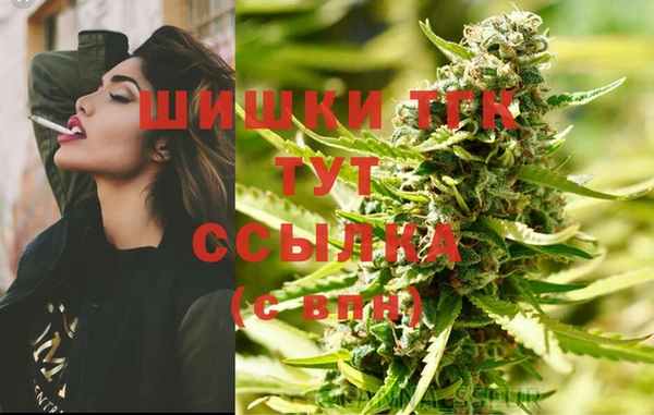 твердый Алзамай