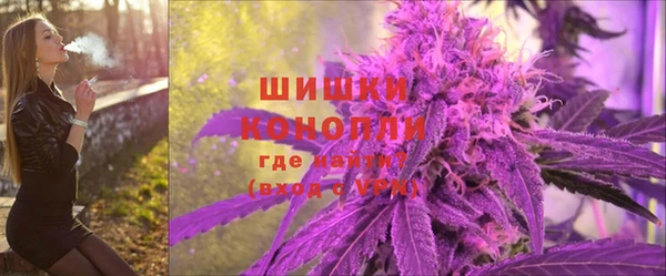 шишки Алексеевка